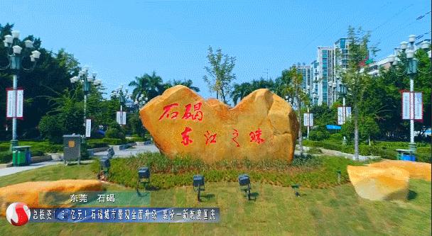 重磅!石碣镇入围2019年度全国百强镇,东莞还有这些镇上榜!