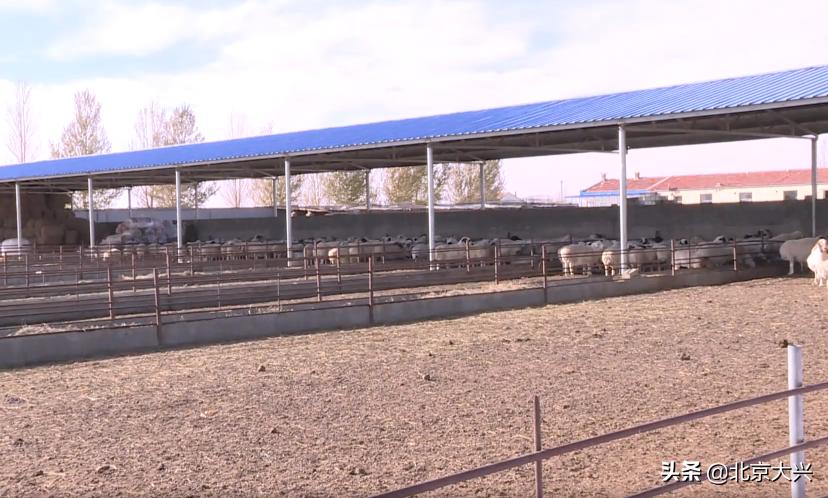 产业扶贫的8种主要帮扶模式,扶贫模式助力精准扶贫