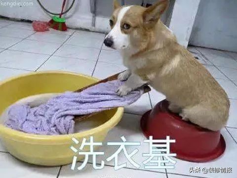 日本洗衣间收纳方法,日本全职主妇收纳技巧