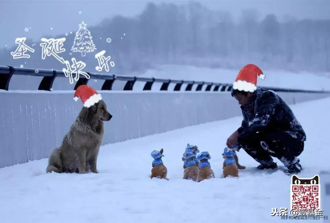那个你不好意思说出口的礼物，我来帮你实现