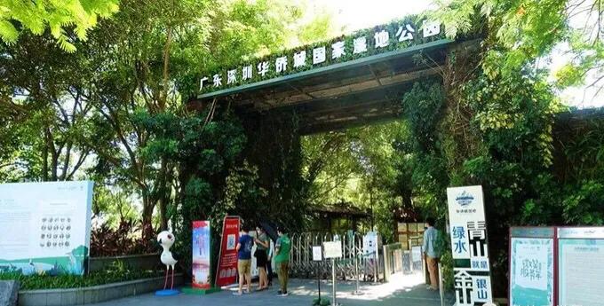 深圳免费公园哪里最好啊,深圳十大免费公园景点大全