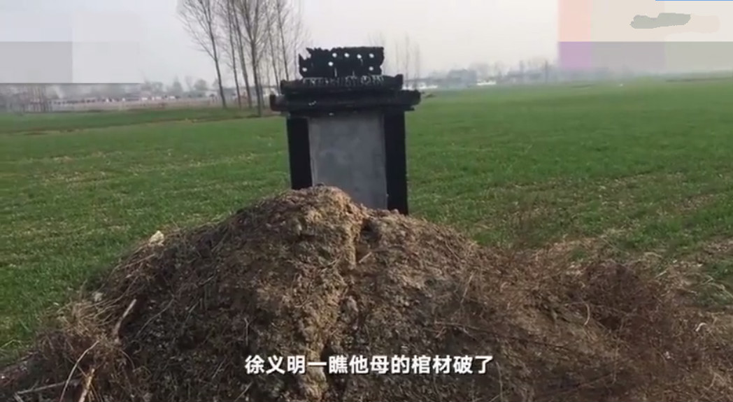 父母坟墓屡次被挖,父母坟墓被挖三次后续