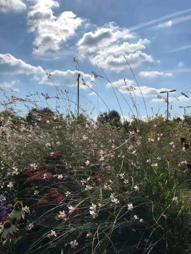 巴尔干半岛和阿尔巴尼亚,伯罗奔尼撒半岛和巴尔干半岛