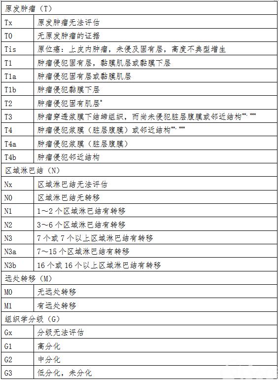 胃癌分期不同治疗方式有哪些差异,胃癌的分期治疗原则及策略