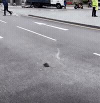 搞笑段子生意没谈成,搞笑段子不审营业执照