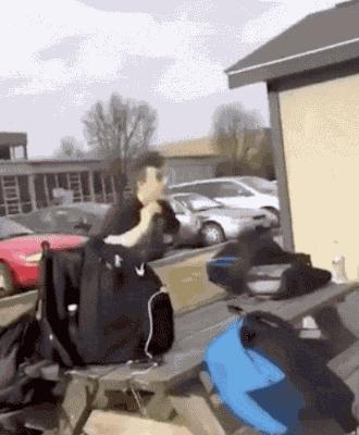 外国人少系列:这是黑人版快手吧?至少也是作死界的王者级别