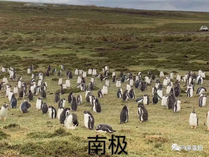 学汽车美容有没有前途,女生学美容学什么比较好