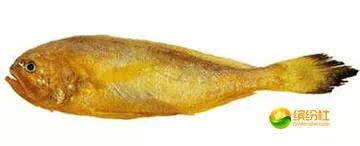 舟山海鲜攻略2天1晚住宿自由行,舟山最好的海鲜