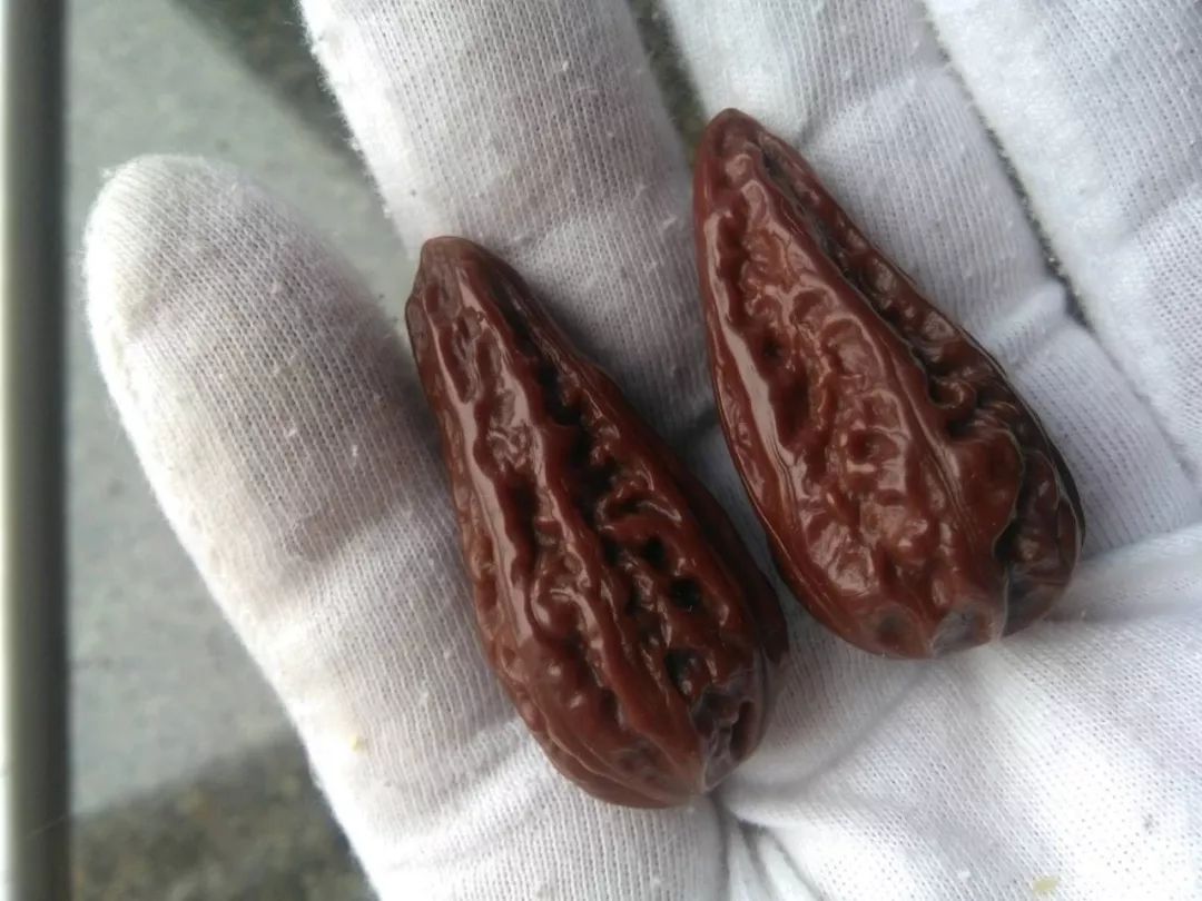 玉化核桃还需要盘吗,玉化核桃怎么盘