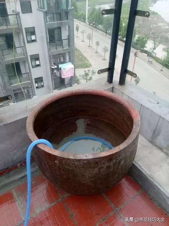 花盆5元一个,花盆不用花钱买