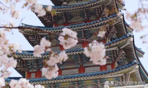 2023年文学编导院校有哪些,2022年文学编导类多少分过线