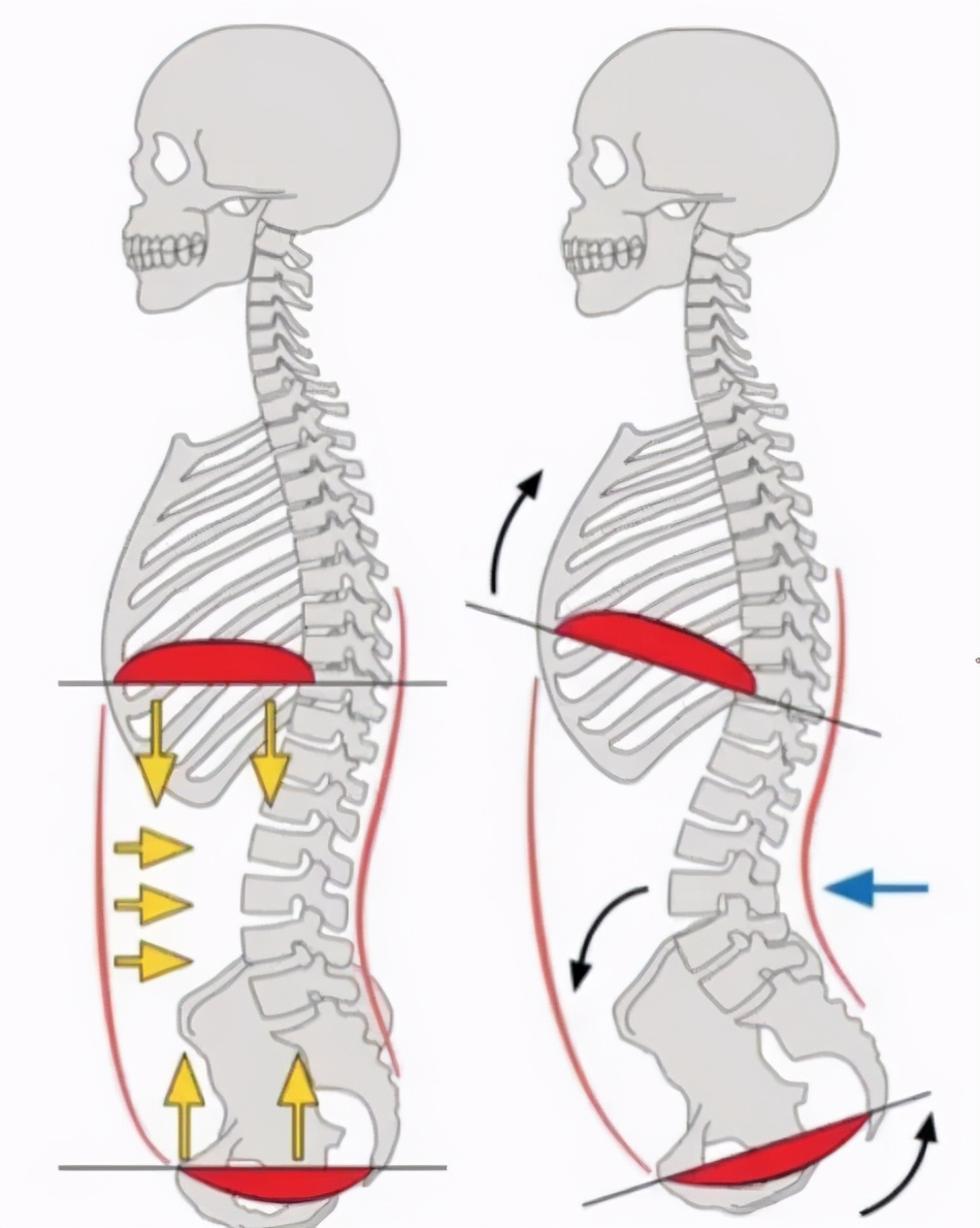腰腹快速恢复力量,10分钟腰腹运动紧实腰侧曲线