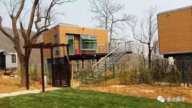 享受自家小院这悠闲时光,享受独处小院时光