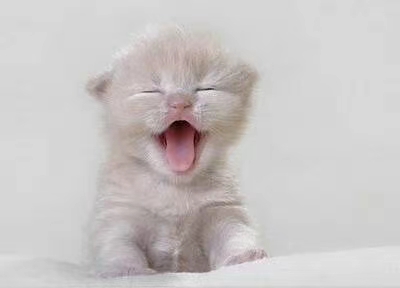 你以为的情绪失控其实是躁狂症,你以为的感情都是骗人的