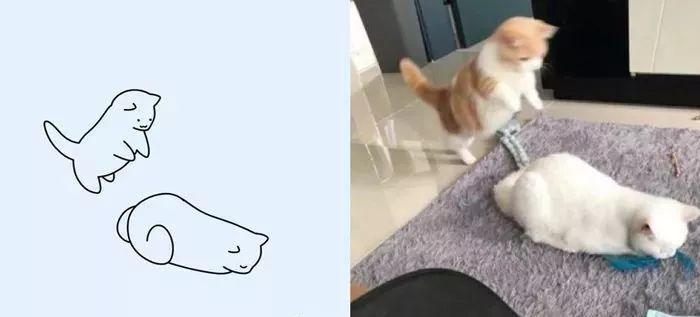 你和大触绘画的区别：一看就会一画就废，这波动物简笔画太形象了