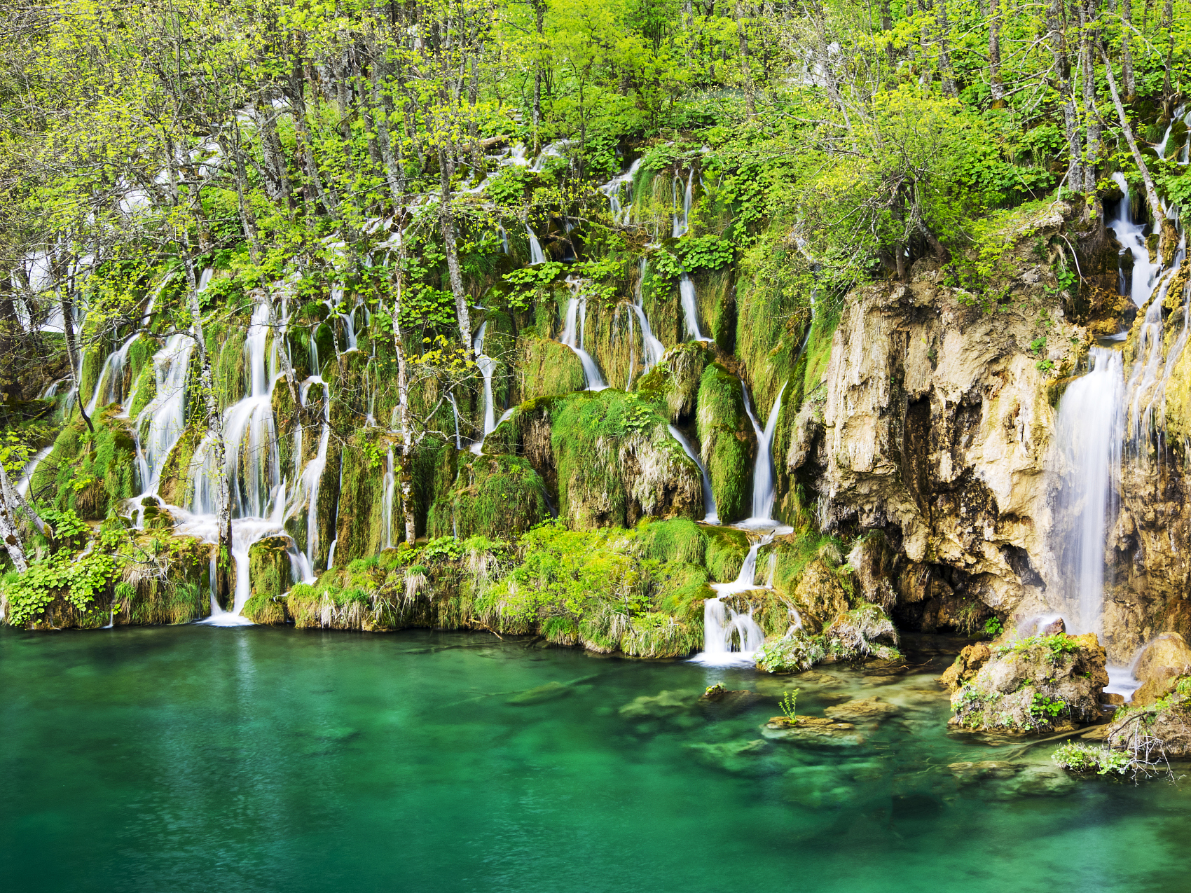 合肥九江银行招聘条件,九江银行合肥分行管培生