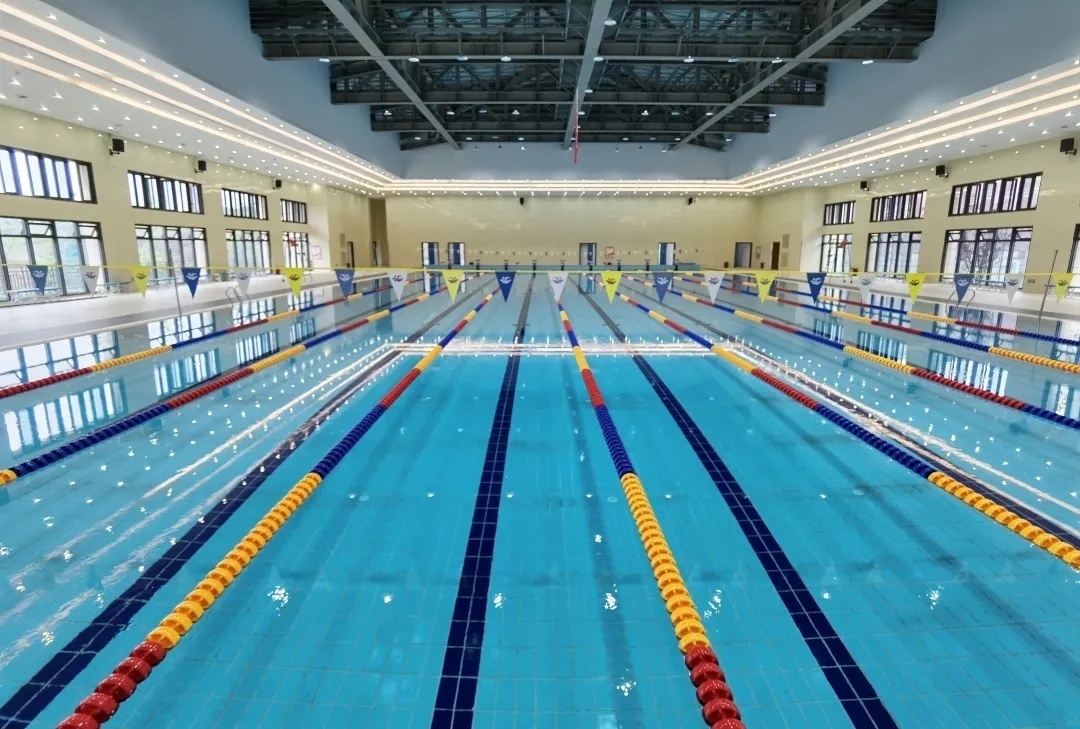 社长总编主编,社长总编