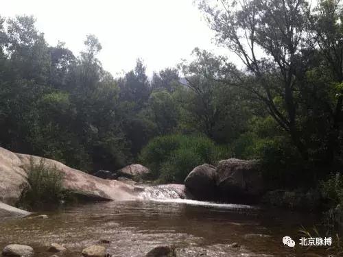 画说回龙观,北京最漂亮的森林公园