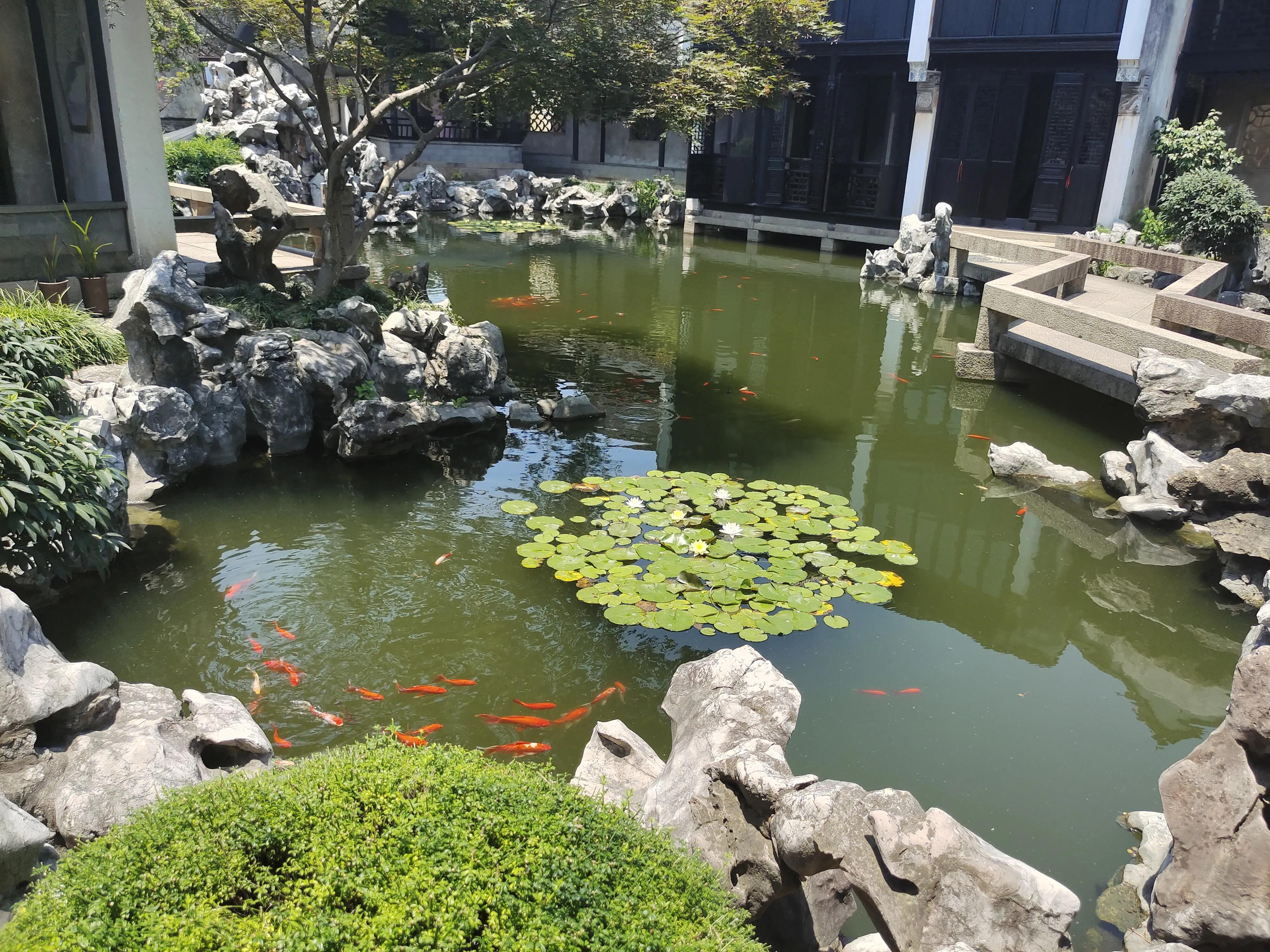 同里国家湿地公园,同里古镇美食