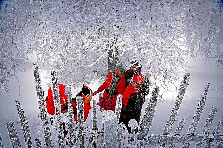 林海雪原女子,林海雪原上的女人