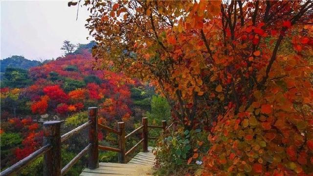 济南旅游景点推荐带孩子玩,济南旅游景点推荐适合带孩子