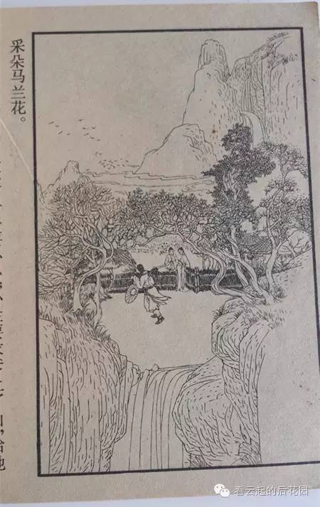 马兰花童年,马兰花童年故事