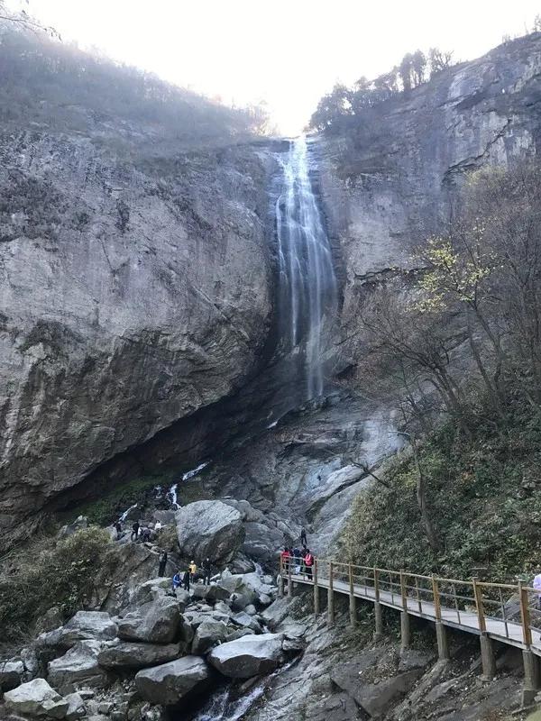 金寨为爱殉情,金寨牺牲了多少人