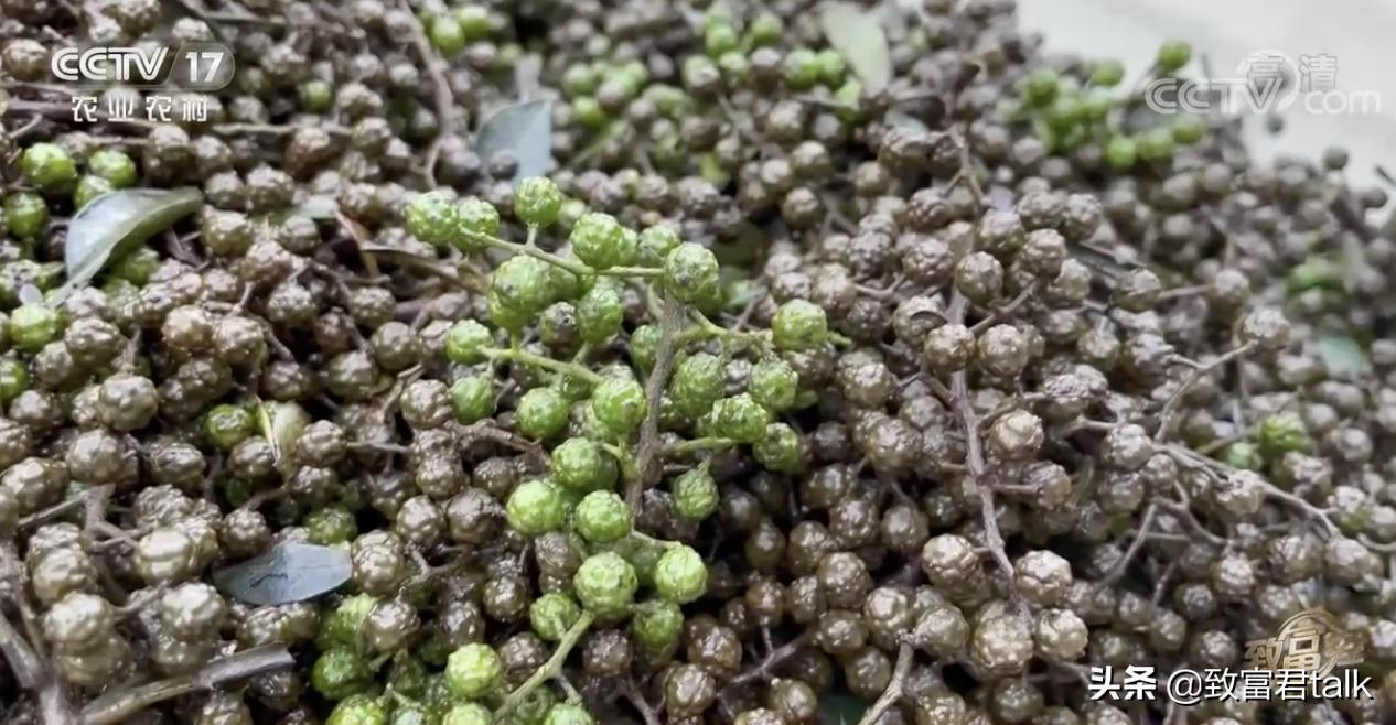 赚麻了：废蒸汽都能拿来赚钱