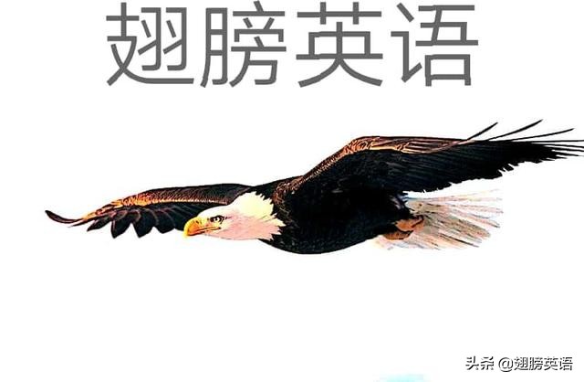 重点常考英语句型意思,重点句型在英语书上的哪里