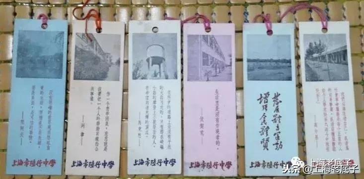 「川沙县篇」回望上世纪八九十年代的上海学校，有侬的母校伐？