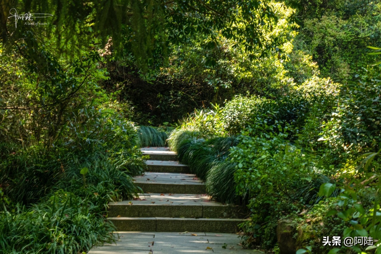 杭州虎跑泉水,杭州虎跑泉旅游攻略