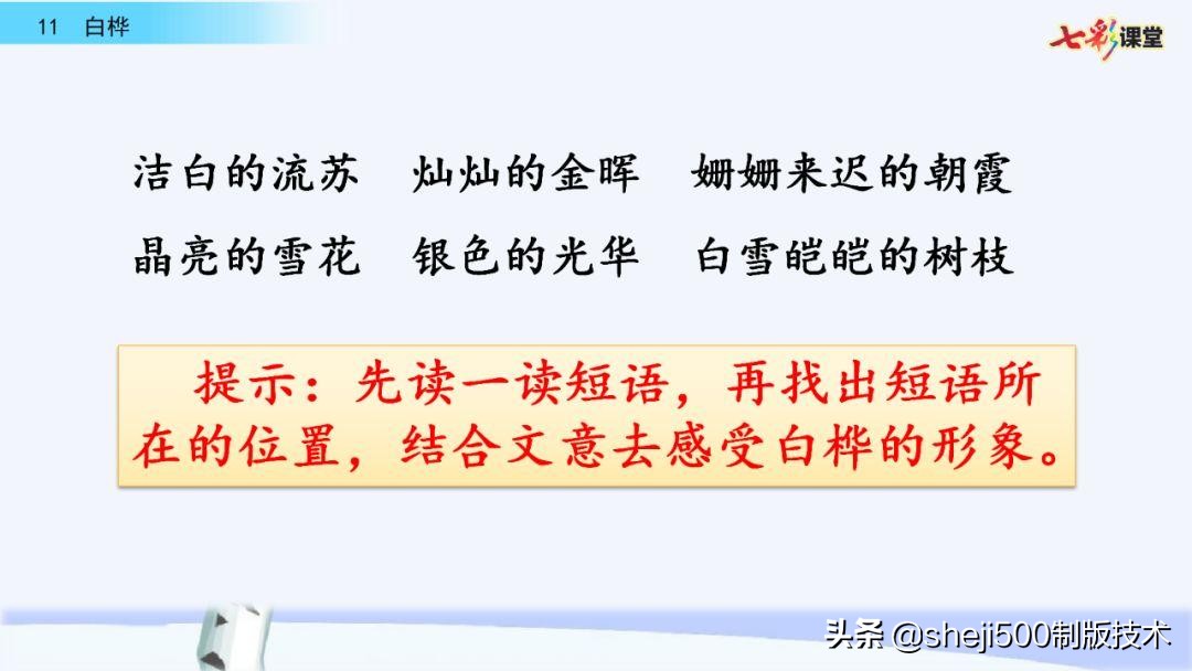 语文教科书四年级下册11课白桦,四年级语文书下册白桦讲解及预习