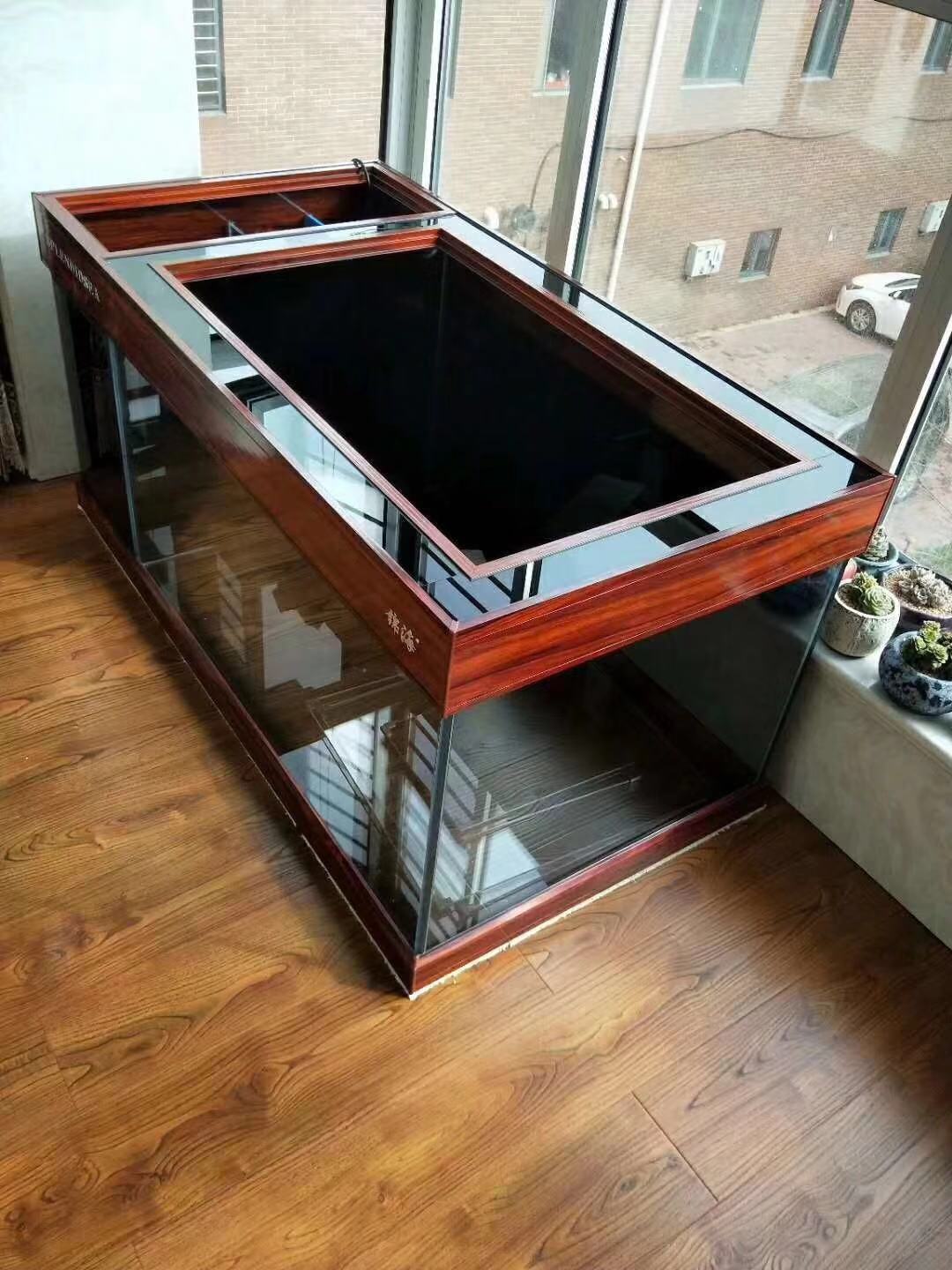 鱼缸养锦鲤鱼的方法和技巧,鱼缸新手养锦鲤鱼的正确方法