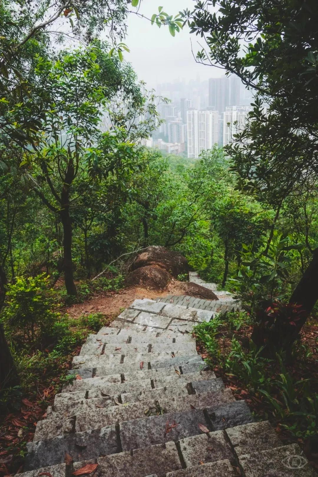 深圳值得去的地标,深圳值得去的景点排行榜