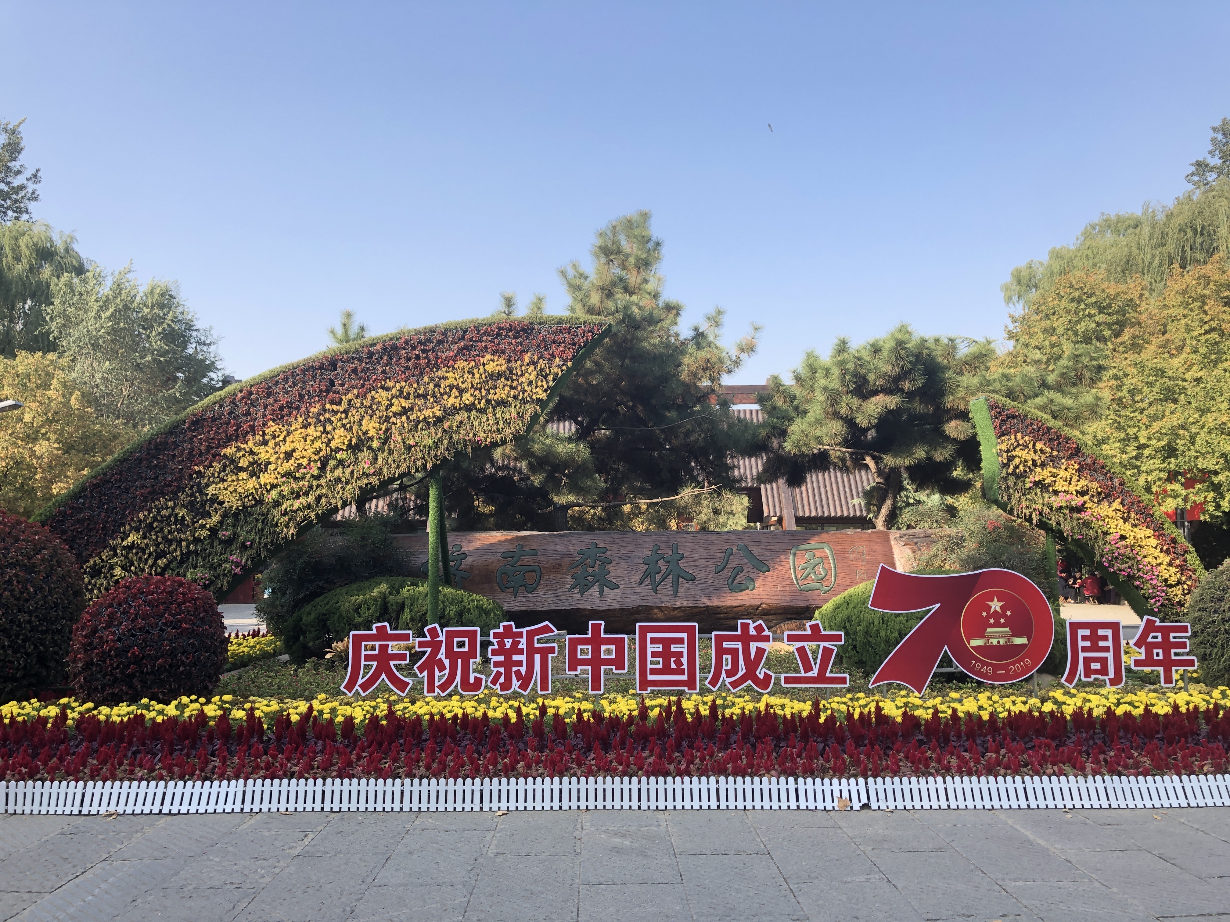 济南森林公园夏荷之美,雨后的济南森林公园美景让人陶醉