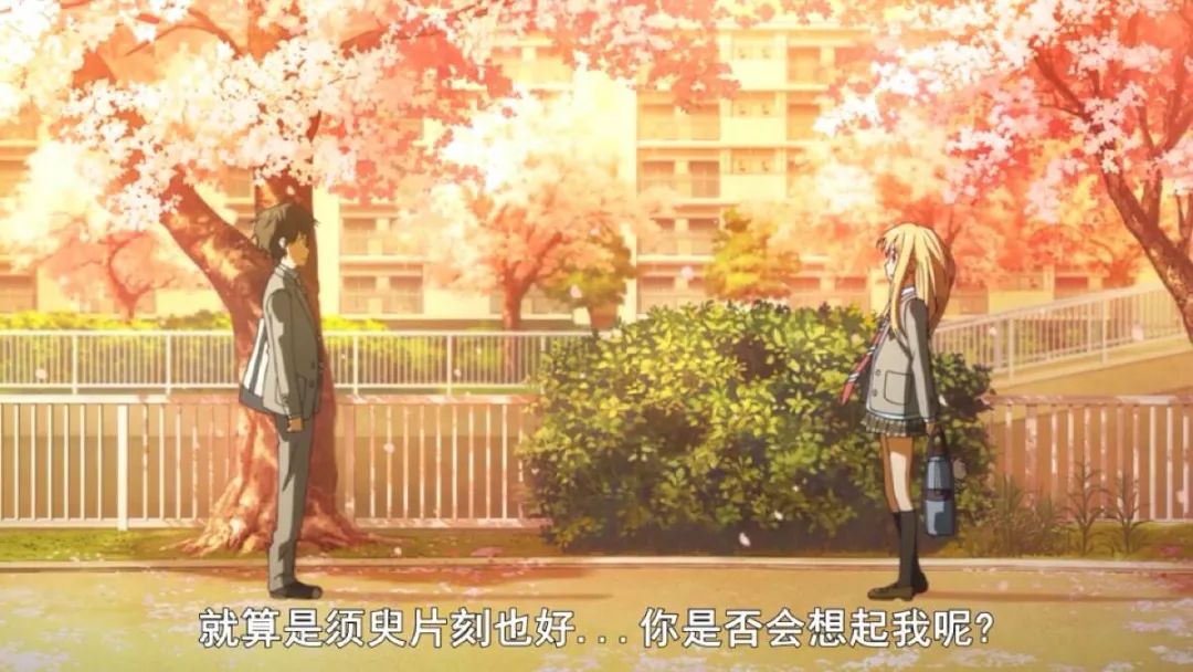 四月最强护夫番,四月最强新番推荐