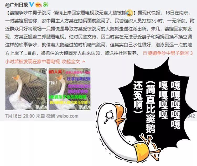 2019上半年沙雕新闻合集,上半年沙雕新闻