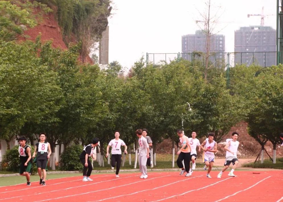 飒!123张图,带你“动+静”看赛场