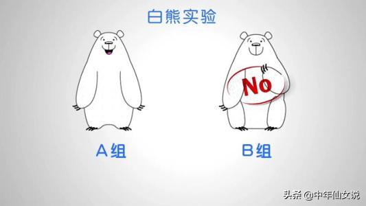 关于犯错的忠告,新人必须避开的4个职场误区