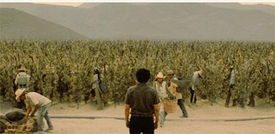 毒枭墨西哥第三季豆瓣,毒枭墨西哥全部剧集