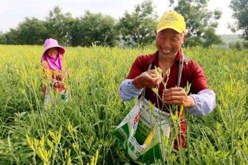 铜川印台发展,铜川市印台区产业园