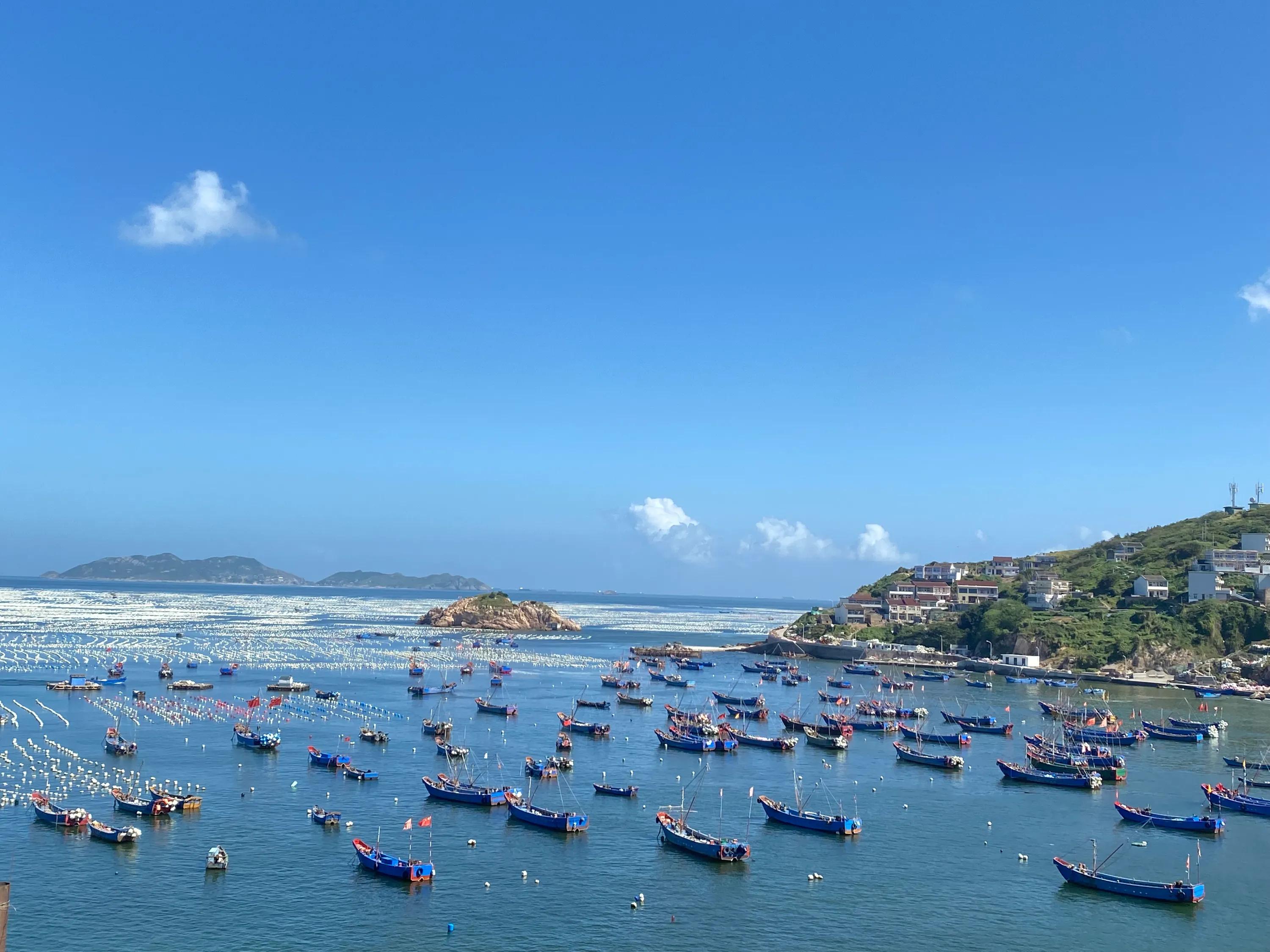 嵊山旅游攻略必去景点推荐,嵊山枸杞景区跟团