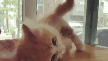 皮肤吸油纸的正确使用方法,经常用吸油纸可以改善油皮吗