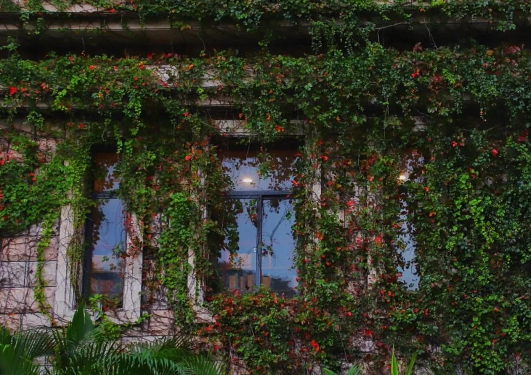 静谧角落香云纱,静谧角落视频