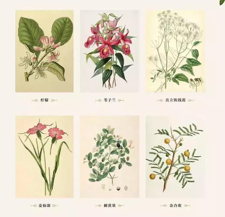 植物学第一次实验体会,植物学实践课