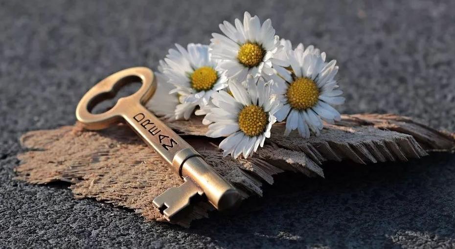 雷军说创业全靠勤奋和努力,雷军谈在风口一万次的磨练