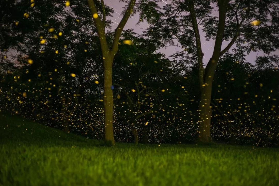 北京冬天亲子旅游攻略,8个国内亲子游旅行地推荐