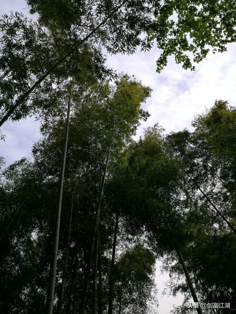 黄梅佛教在中国地位,黄梅禅宗之源