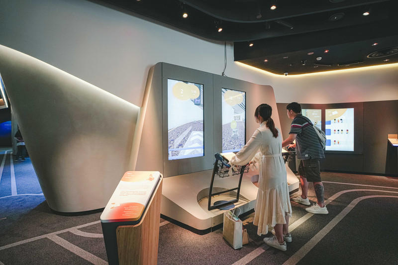 一人一猫环游,一人一猫旅行