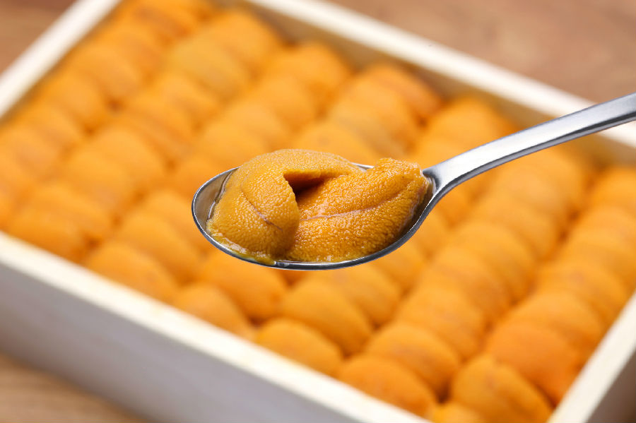 心痛的感觉!八种海鲜暂别啦